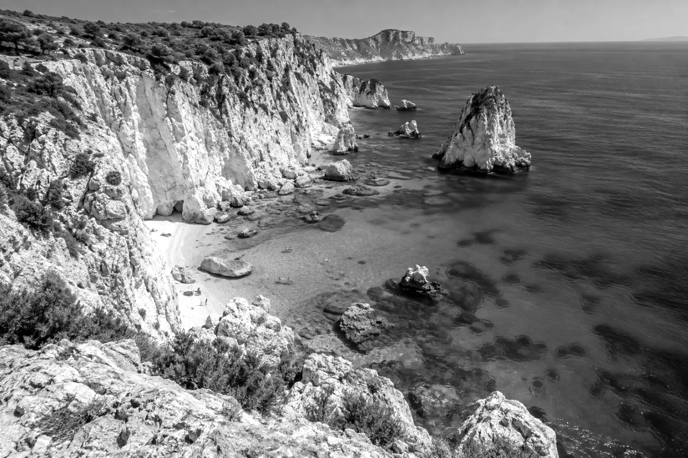 Ilford Pan F 50: actual Camera Refine output on an AI-created sample